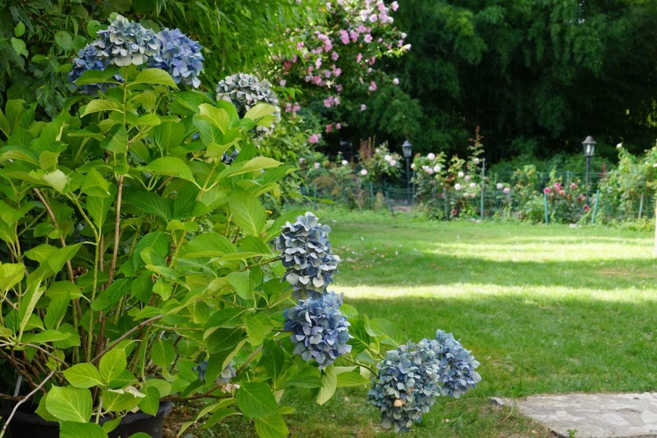 Le Moulin De La Planche Bed & Breakfast Cerelles Luaran gambar