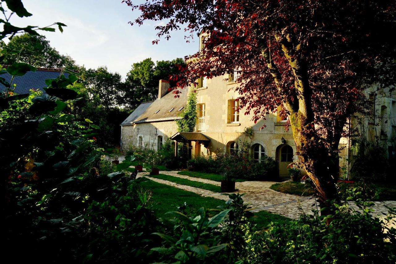 Le Moulin De La Planche Bed & Breakfast Cerelles Luaran gambar