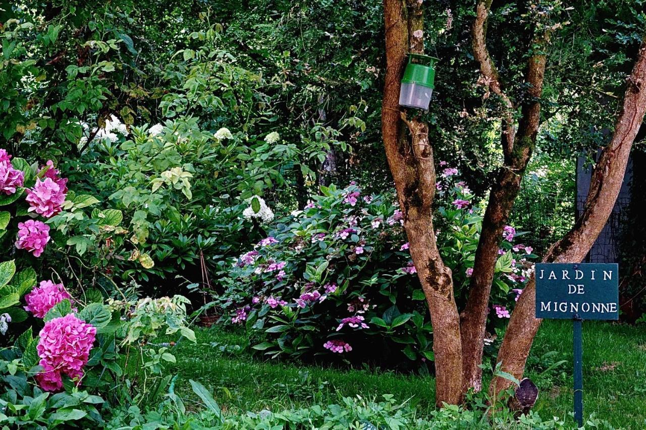 Le Moulin De La Planche Bed & Breakfast Cerelles Luaran gambar